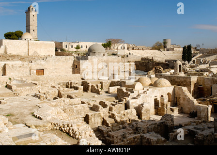 Citadelle di Aleppo, Siria Foto Stock