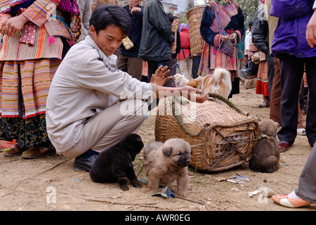 Mercato di animali di Bac ha, Ha Giang provincia, nel Vietnam del nord Foto Stock