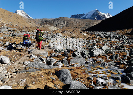 La tundra valle a Cho La Pass, Khumbu Himal, Parco Nazionale di Sagarmatha, Nepal Foto Stock