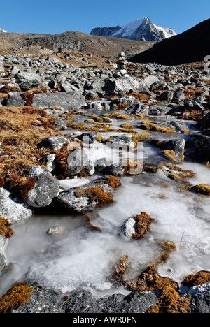 La tundra valle a Cho La Pass, Khumbu Himal, Parco Nazionale di Sagarmatha, Nepal Foto Stock