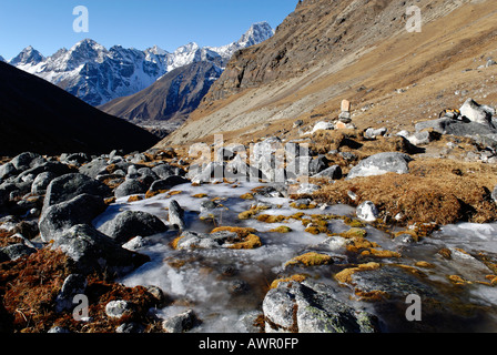 La tundra valle a Cho La Pass, Khumbu Himal, Parco Nazionale di Sagarmatha, Nepal Foto Stock