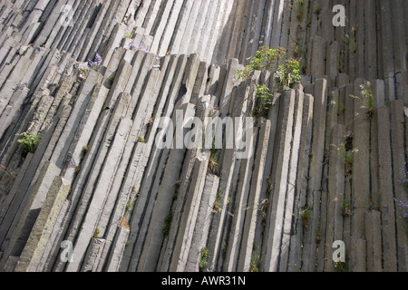 Herrenhausfelsen, Steinschoenau, Liberec, Cechia Foto Stock