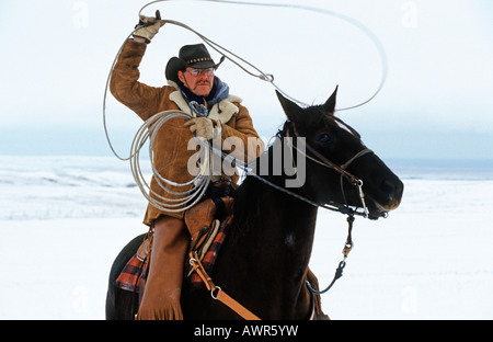 Cowboy swinging lazo, Canada Foto Stock