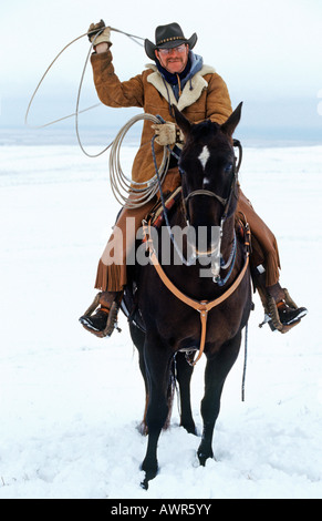 Lazo-swinging cowboy, Canada Foto Stock