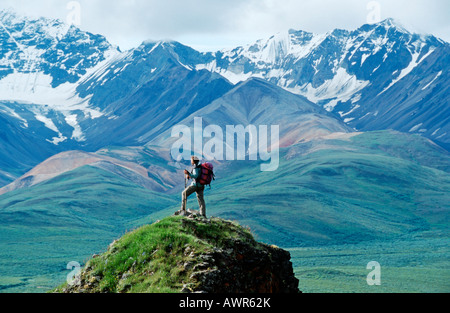 Escursionista in piedi di fronte a l'Alaska Range nel Parco Nazionale di Denali, Alaska, STATI UNITI D'AMERICA Foto Stock