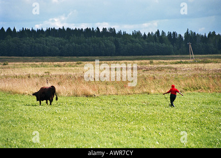 Countrywoman con la sua mucca in un pascolo, Jouga, Estonia Foto Stock