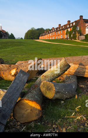 Disco Buckers villaggio storico, Nuova Foresta Foto Stock