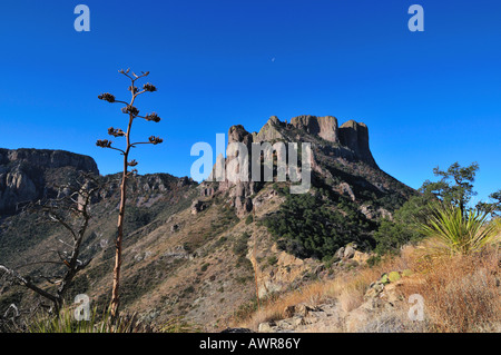 Casa Grande lungo il Lost Mine Trail. Parco nazionale di Big Bend, Texas, Stati Uniti d'America. Foto Stock