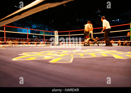 Incontro di boxe che mostra una punzonatura boxer altri sul lato lontano della corona con l'arbitro che guarda. Foto Stock