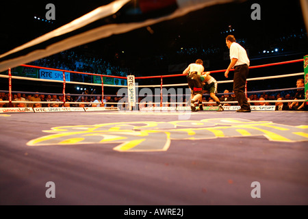 Incontro di boxe che mostra una punzonatura boxer altri sul lato lontano della corona con l'arbitro che guarda. Foto Stock