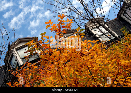 Estremità sud quartiere di Boston, Massachusetts. Foto Stock