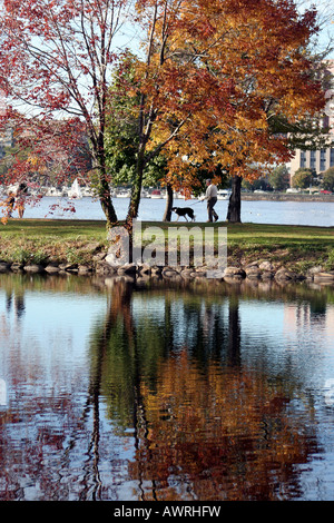 Autunno sul fiume Charles Esplanade in Boston Massachusetts Foto Stock