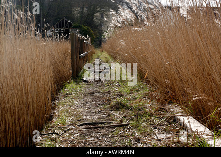 Sito dell'Aust ferry terminal sul lato italiano del fiume Severn Foto Stock