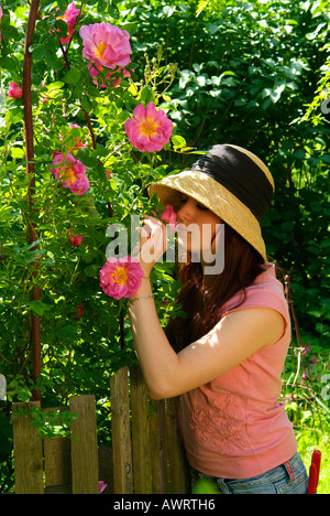 Giovane donna con cappello odori su una rosa rosa moyesii Marguerite Hilling Foto Stock