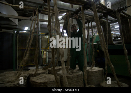 Un lavoratore untangles stoppini di scapecchiato lino proveniente dall'estremità della linea hackling Terre de Lin Saint Pierre le Viger Francia Foto Stock