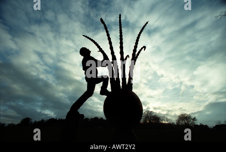 Scultore Johnny Woodford al lavoro su un artwork scolpito in legno recuperate da un albero uccisi dalla malattia dell'olmo olandese Foto Stock