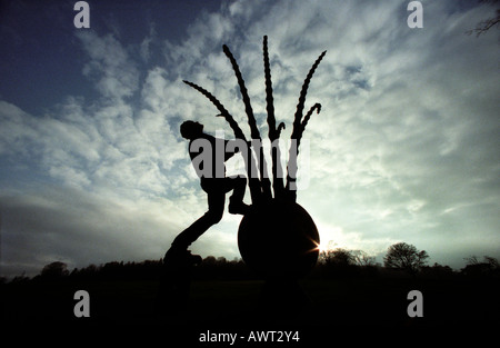 Scultore Johnny Woodford al lavoro su un artwork scolpito in legno recuperate da un albero uccisi dalla malattia dell'olmo olandese Foto Stock