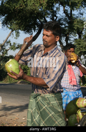 Lato strada acqua fornitore di cocco apertura di una noce di cocco con un falcetto , Tamil Nadu , India Foto Stock
