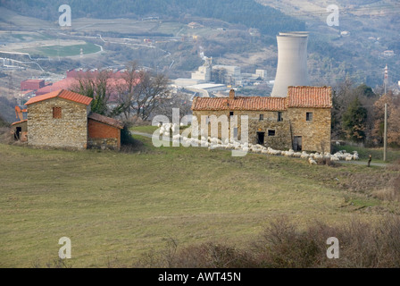 Tipica fattoria toscana edifici con il gregge di pecore di fronte alle torri di raffreddamento dell'Enel Energia geotermica impianto di alimentazione Foto Stock