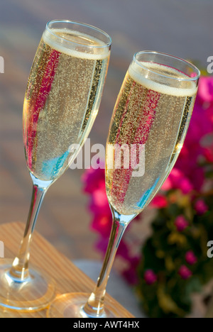 Due appena spillata occhiali da sole di champagne sul tavolo esterno con fiori di bouganville dietro Foto Stock