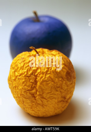 Una stropicciata giallo GOLDEN DELICIOUS E MELE BLU Foto Stock