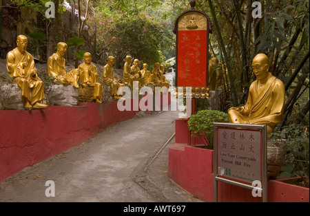 Dh il Monastero dei Diecimila Buddha SHATIN HONG KONG Golden Statue di Buddha fodera percorso al tempio del monastero Foto Stock