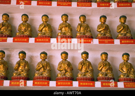 Dh il Monastero dei Diecimila Buddha SHATIN HONG KONG righe di piccole statue di Buddha sulla parete selved all'interno del tempio Foto Stock