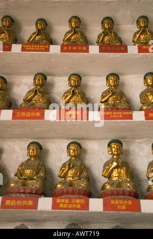 Dh il Monastero dei Diecimila Buddha SHATIN HONG KONG righe di piccole statue di Buddha sulla parete selved tempio interno statua del Buddha Foto Stock