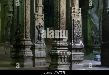Pilastri interno Sri Meenakshi Temple , Madurai , Tamil Nadu , India del Sud Foto Stock