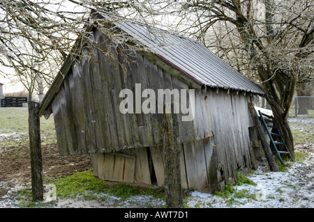 Vecchio weathered legno casa di pollo con la brina e ghiaccioli in un freddo inverno mattina Foto Stock