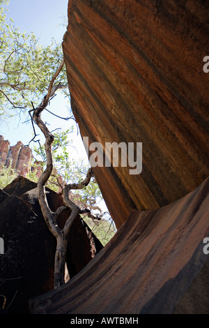 Incredibili rocce nel Waterberg Plateau Park Otjozondjupa Regione della Namibia Foto Stock