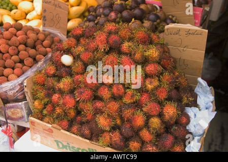 Dh il Mercato Stanley STANLEY HONG KONG Hairy litchi sul cibo mercato della frutta verde di stallo alimentari Foto Stock