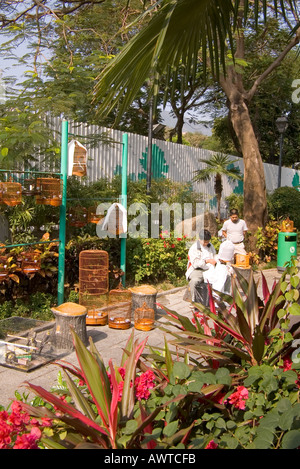 dh Yuen po Street Bird Gardens MONG KOK MERCATI HONG KONG ASIA uomini con bambù gabbie di uccelli mercato mongkok hk Foto Stock