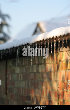 Ghiaccioli appesi da ricoperta di neve di metallo ondulato tetto in inverno Foto Stock