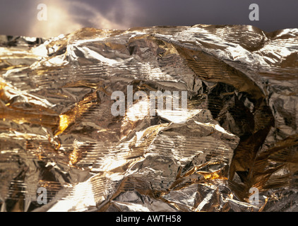 Lamina, extreme close-up Foto Stock