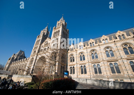 Museo di Storia naturale di South Kensington, London, Regno Unito Foto Stock