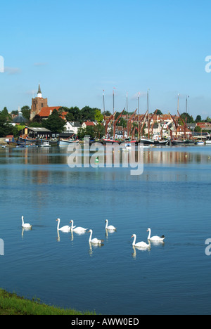 Gruppo bevy di cigni in acqua con le chiatte di navigazione del Tamigi a ormeggi spazio di copia lontano sul cielo blu fiume Blackwater paesaggio Maldon Essex Inghilterra UK Foto Stock