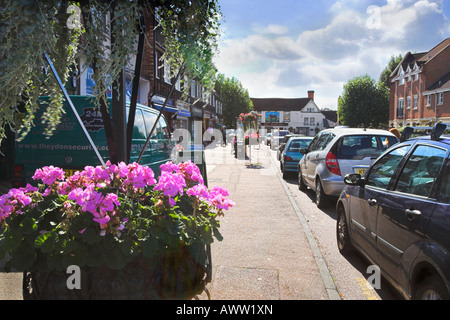 "Bull' 'public house' strada automobili parcheggiate marciapiede UK fiori rosa piantatrice Foto Stock