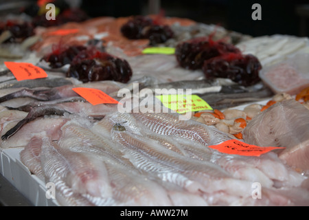 Freschi i filetti di pesce e di crostacei su un pescivendoli pesce fresco stallo a un mercato coperto Foto Stock