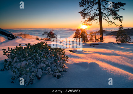 I Suns ultima luce su Sequoia Kings Canyon National Park con in primo piano nevoso Foto Stock