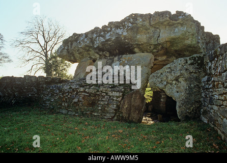 Tinkinswood sepoltura camera galles Foto Stock