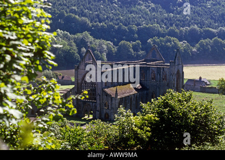 Rovine del XIII secolo Tintern Abbey dal fiume Wye 1131 fondata dai monaci cistercensi Foto Stock