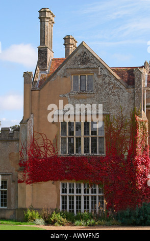 Virgina superriduttore (Parthenocissus quinquefolia) rivestimento anteriore alzata al Marwell Hall, Hampshire, Inghilterra Foto Stock