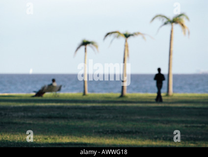 Due persone, palme al mare, offuscata Foto Stock