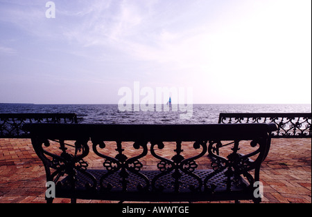 Una drammatica immagine ravvicinata di un banco di ornati in una luminosa giornata estiva con una barca a vela in acqua in background. Foto Stock