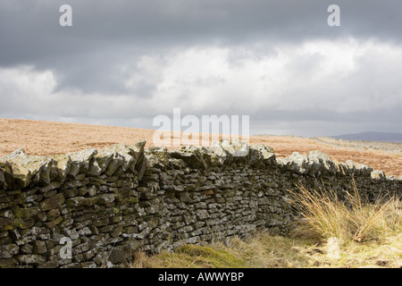 Asciugare la parete di pietra e i terreni agricoli in Yorkshire Moors. Yorkshire Dales, Inghilterra Foto Stock