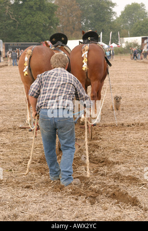 La cinquantaseiesima nazionale britannico di aratura campionati Match, Loseley Park, Surrey, Ottobre 2006 Foto Stock