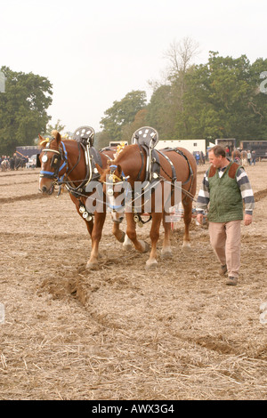 La cinquantaseiesima nazionale britannico di aratura campionati Match Loseley Park Surrey Ottobre 2006 Foto Stock