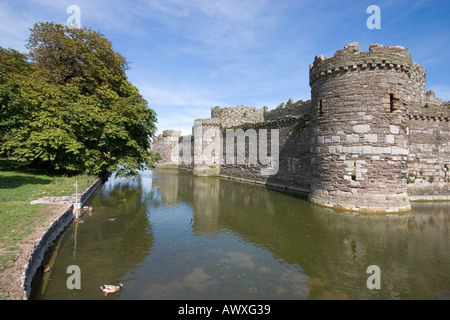 A sud ovest della cortina esterna parete e fossato Beaumaris Castle Isola di Anglesey North Wales Foto Stock