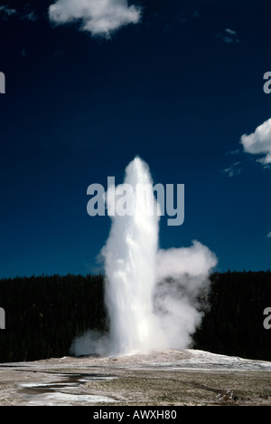 Geyser Old Faithful schizzi di acqua surriscaldata e vapore skyward nel Parco Nazionale di Yellowstone in Wyoming hourly Foto Stock